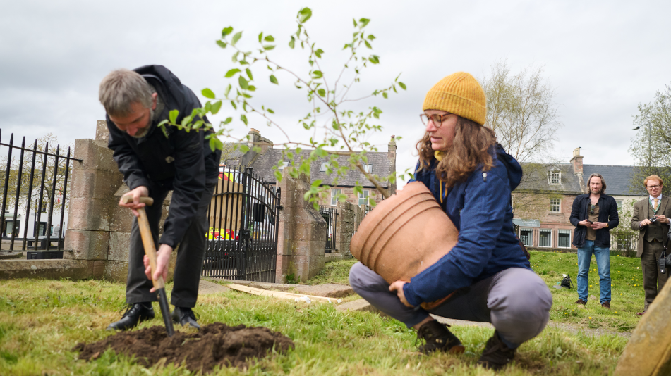 New life at site of 'Europe's oldest' wych elm