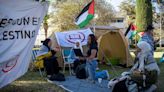 Las protestas en solidaridad con Palestina dan la vuelta al mundo