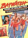 Baywatch: Panic at Malibu Pier