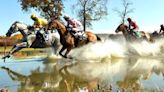 Steeplechase Photographer Douglas Lees Wins Top Awards From American Horse Publications