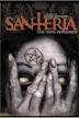 Santeria: The Soul Possessed