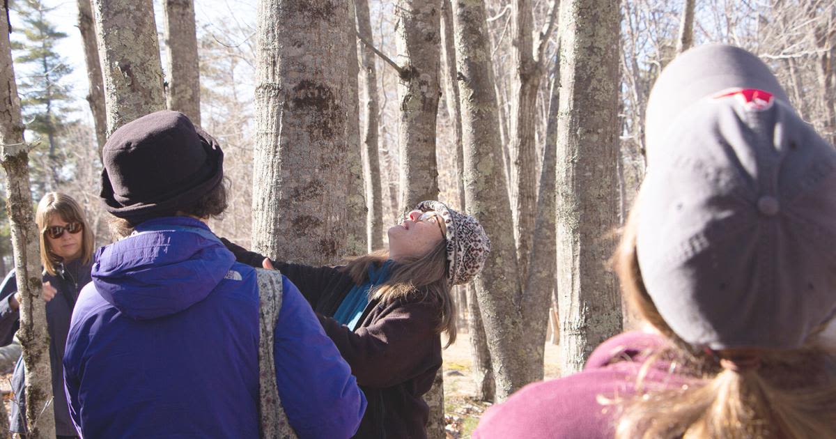 Forest Journal: 'Women in the Woods' building confidence in land management