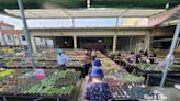 彰化田尾公路花園旁的多肉植物專賣店，植栽品項達百種以上，價位親民～