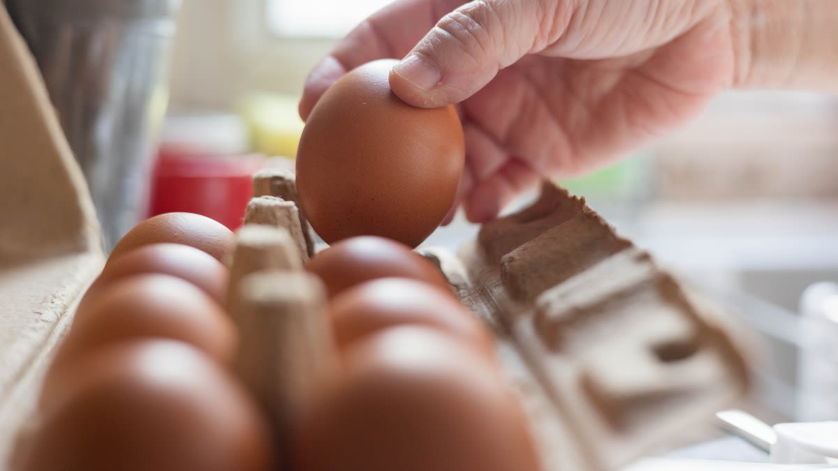 Eggs sold in Illinois, 2 other Midwest states recalled, linked to Salmonella outbreak. Here's what we know