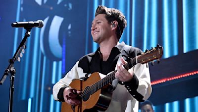 Niall Horan Had to Walk to His Toronto Show Because of Traffic