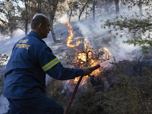 Greek prime minister warns of dangerous summer for wildfires - Times of India