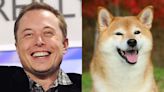 Dogecoin Down 8% as Musk’s Twitter Hype Fades