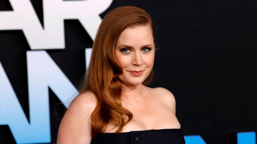 Forget Hillbilly Elegy, Amy Adams is our Nightbitch now