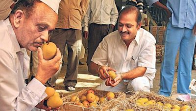 Sopan Joshi's Mangifera Indica traces the influence of the mango on Indian life