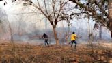 Reportan dos nuevos incendios activos en Los Chimalapas, Oaxaca