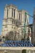 Ancient cathedral rescue: the race to save Notre Dame