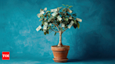 Benefits of Keeping Money Plant at Home - Times of India