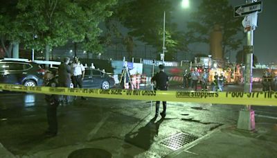 At least 2 dead, 7 hurt after driver strikes pedestrians in NYC park