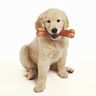 Toys made from safe, durable materials for dogs to chew on. Aids in dental health by reducing plaque and tartar.