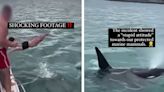 Killer Whale Body Slammed On Cam, Man Hit With Fine
