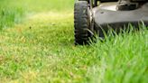 The exact date to cut your grass after winter revealed