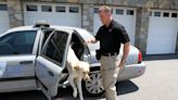 Rhode Island State Police lose 'great ambassador,' dog that investigated child pornography