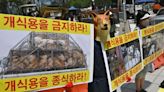 South Korean Farmers Threaten to Release 2 Million Dogs in Protest of Dog Meat Ban