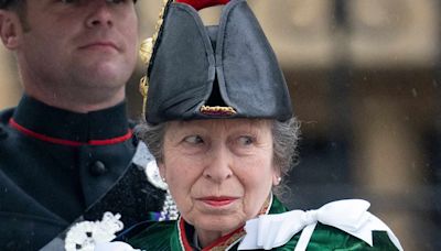 Princess Anne Shares First Message After Hospitalization for Concussion from Horse 'Incident'