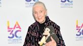 Jane Goodall Shares Parenting Tips She Learned From Chimpanzees & the ‘Small Steps’ We Can Take for a Better Tomorrow