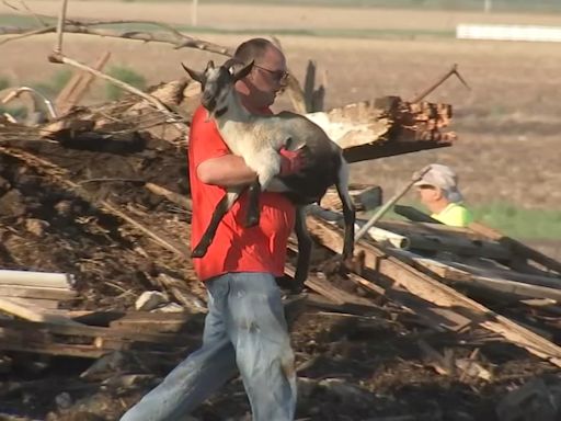 Chicago weather: 4 animals die in north suburban barn collapse, other severe storm damage reported