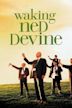 Waking Ned Devine