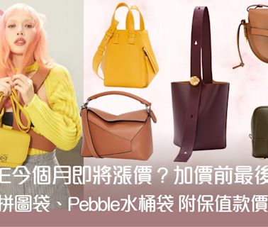 LOEWE傳4月加價 全球調整價格前必買5大保值經典手袋 推介！