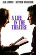 A Life in the Theatre (1993 film)