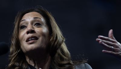 Watch: Gaza protesters chant ‘Killer Kamala’ at Harris speech in Wisconsin