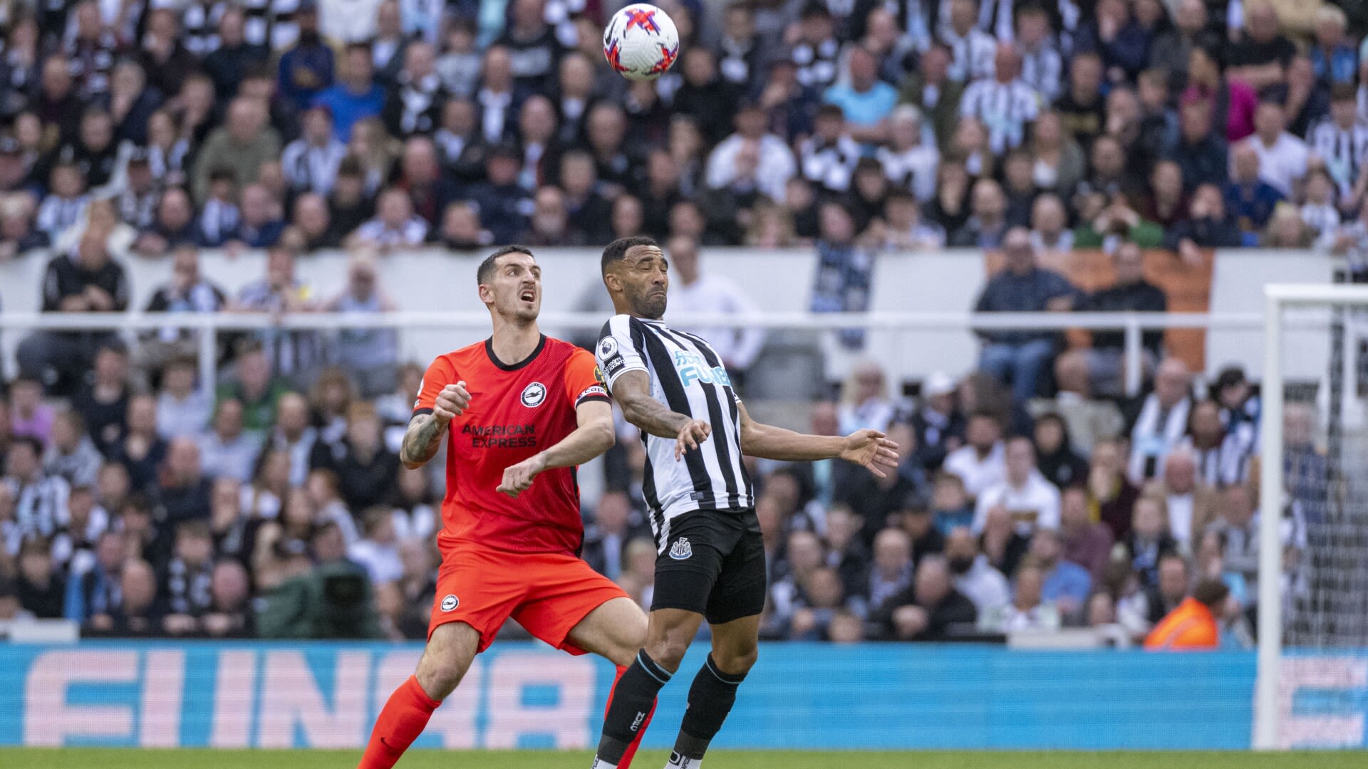 Newcastle vs Brighton: How to watch live, stream link, team news