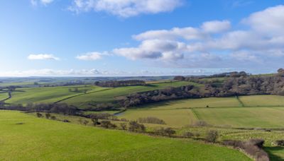 Natural England partners wildlife trust in reduced pollution housing plan