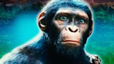 Kingdom of the Planet of the Apes Reaches Box Office Milestone for Franchise