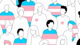 What is gender dysphoria and what does transgender youth care consist of?