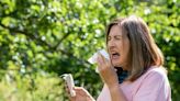 Expert's top tips for hayfever sufferes to avoid pollen bomb and what time of day its highest