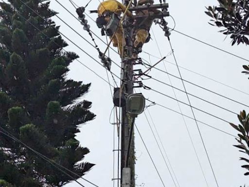 台電持續全面動員搶修中 基隆區處力拼今日全數復電