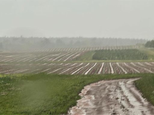 Summerside whacked by record June rainfall