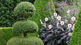 The best evergreen plants for pots - ensure year-round colour in your garden with these smart choices
