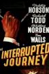 The Interrupted Journey