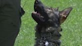 Santa Fe police K9, the subject of a lawsuit, now under separate investigation