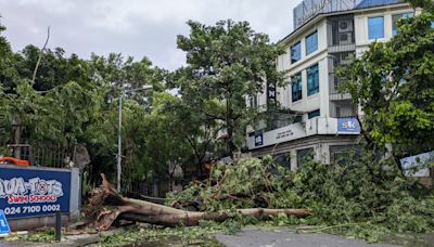 摩羯颱風重創越南！災損嚴重、至少20人亡 「台商重鎮」海防多持續停電斷訊