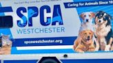 SPCA Westchester launches first mobile adoption unit