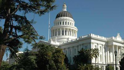 Here are the proposed California laws that are moving forward