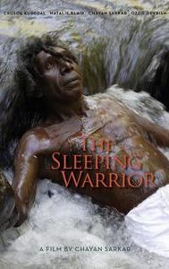 The Sleeping Warrior