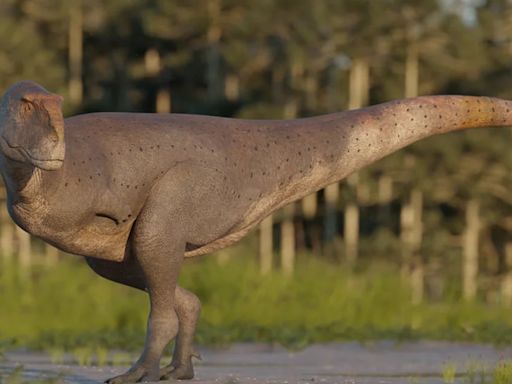 Hallan un dinosaurio carnívoro que vivió en la actual Argentina hace 69 millones de años