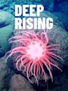 Deep Rising