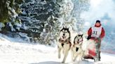 Warm Winter Cancels Minnesota’s Beargrease Sled Dog Marathon