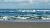 Encuentran un antiguo pez del Atlántico en una playa de Holanda (las imágenes pueden ser perturbadoras)