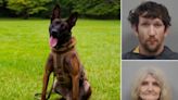 Two people are charged after K9, Coba, was shot dead as police tried to serve an arrest warrant