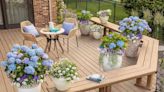 65 Container Garden Ideas Packed With Color for Any Space