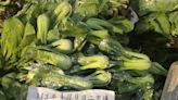4月批發市場蔬果農藥殘留抽驗結果出爐 銷毀3.6萬公斤